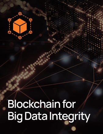 Blockchain for Big Data Integrity