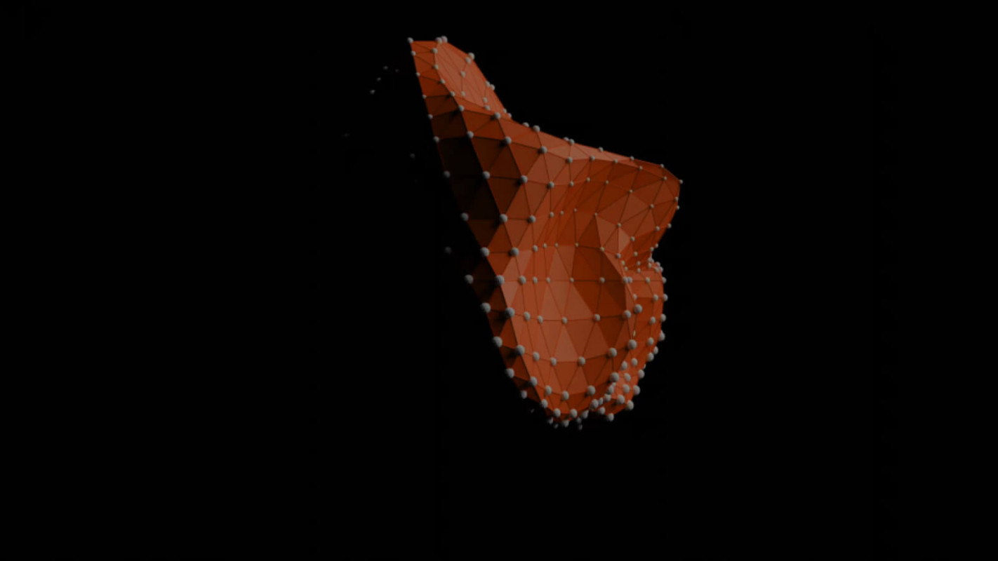 section image